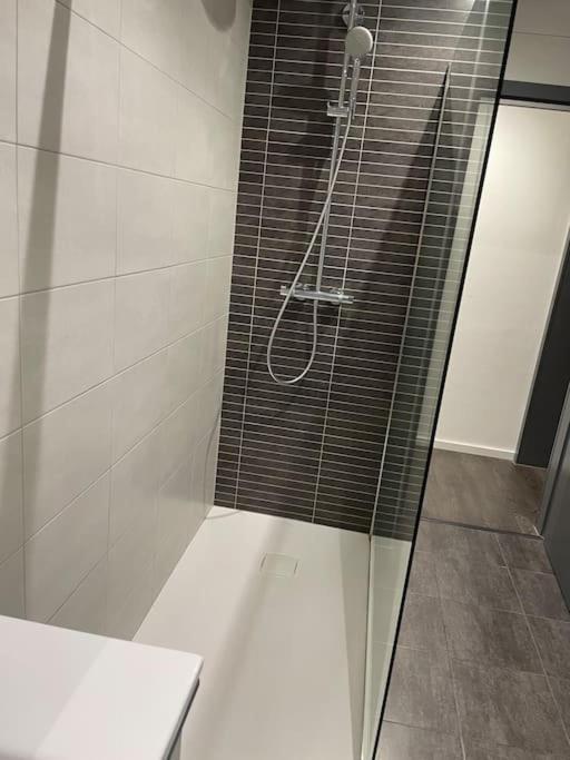 Appartement Cosy Strasbourg Schiltigheim Luaran gambar